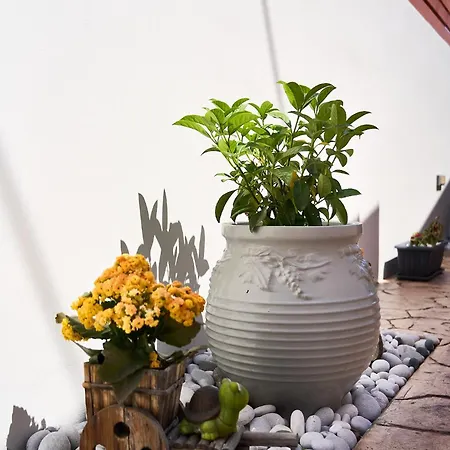 Lejlighed Sea & Joy House *