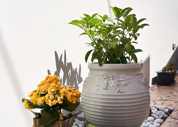 公寓 Sea & Joy House *